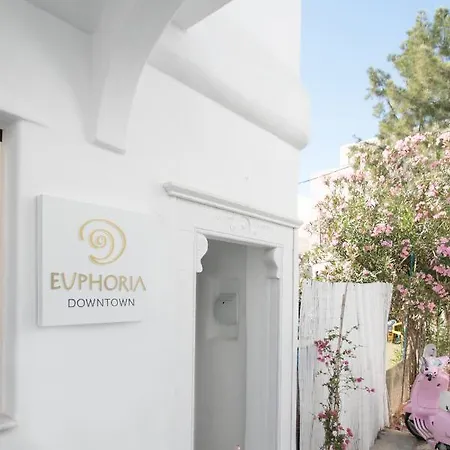 Euphoria Downtown Apartmán Naxos City